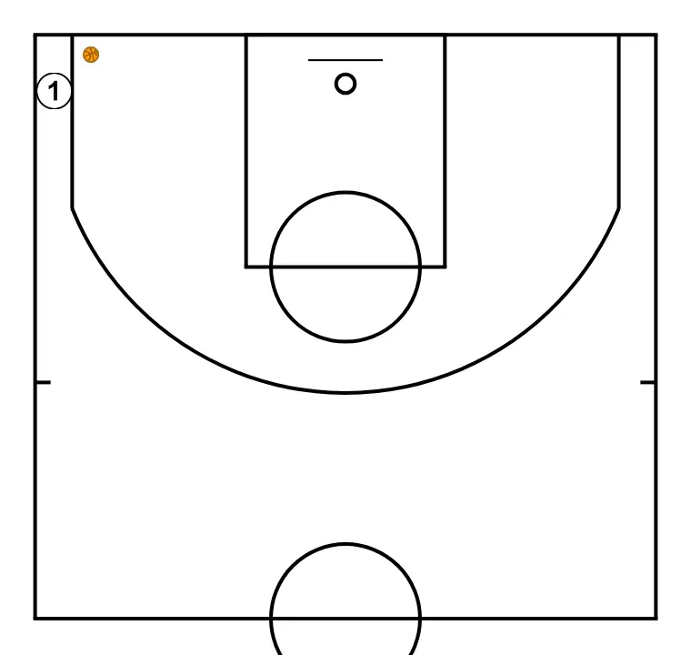 Conditioning of shoot   Conditioning of shoot